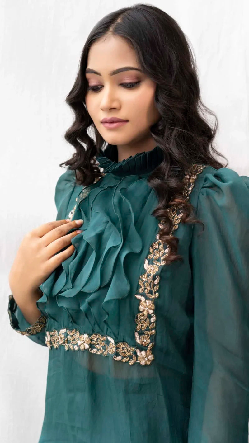 Organza Sheer Kurta